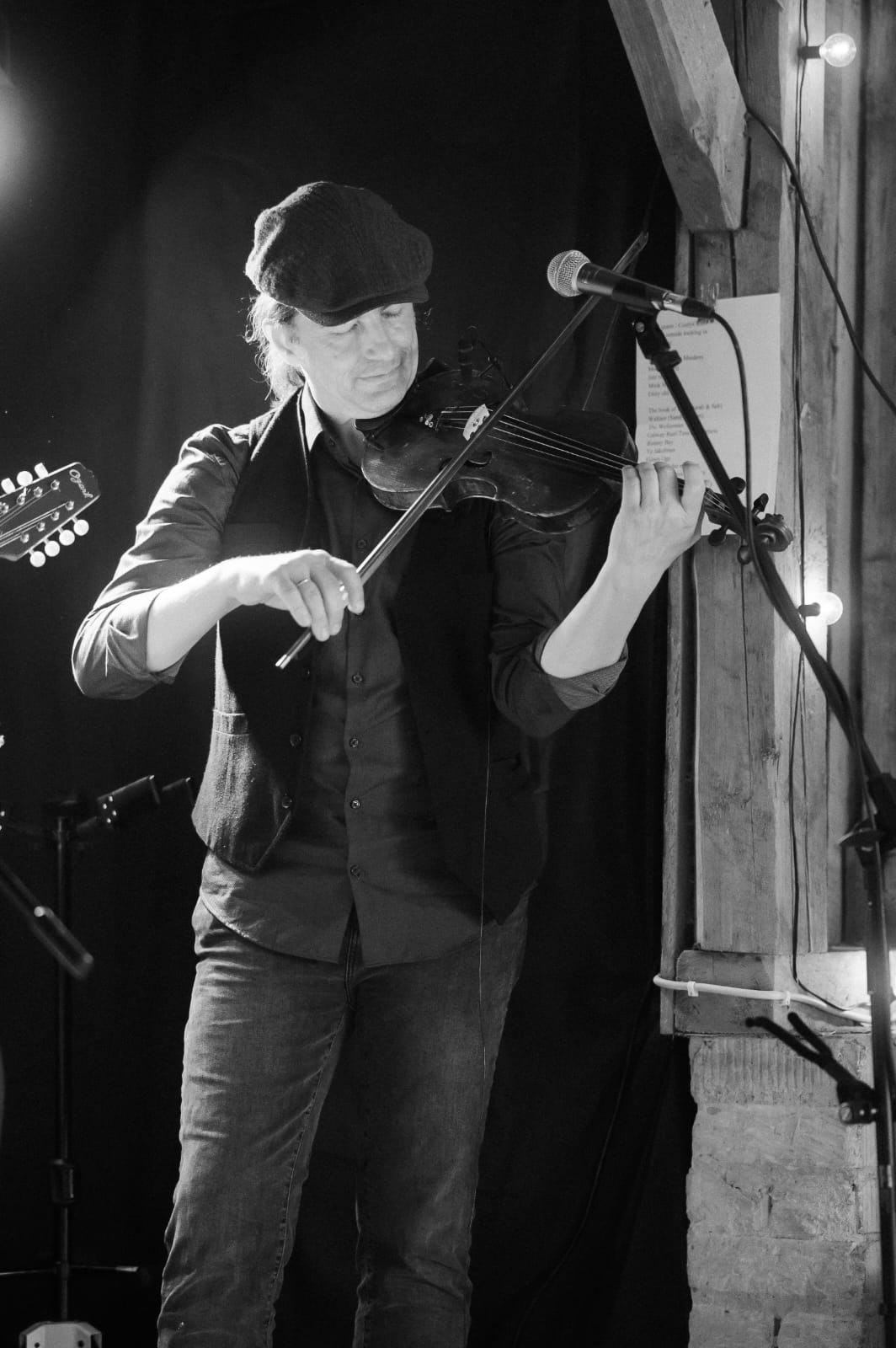 The Velvet Green - Foto 1